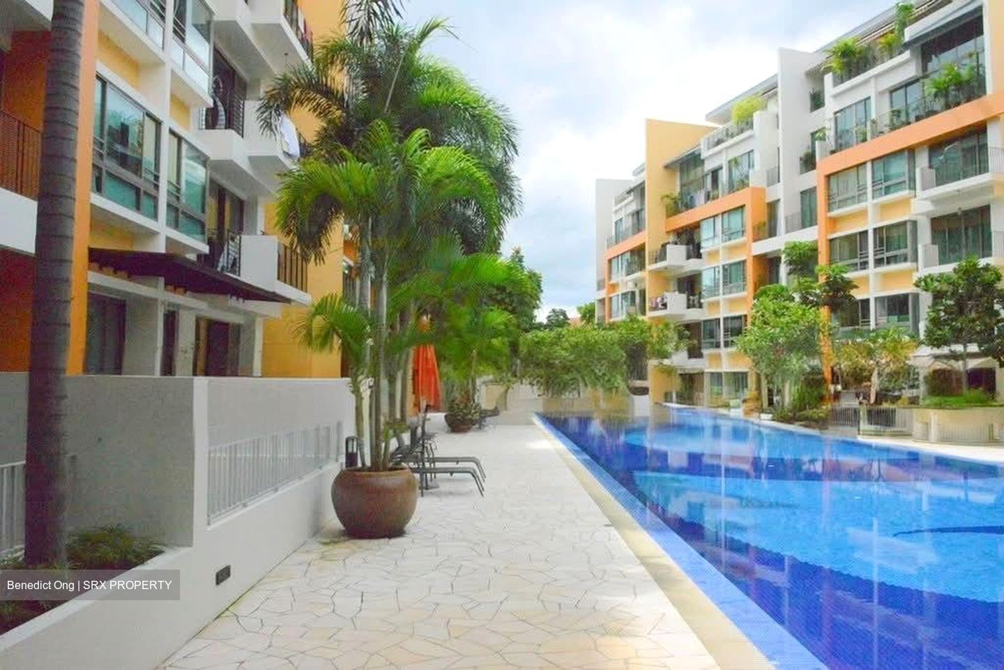 Tangerine Grove (D19), Condominium #578662831